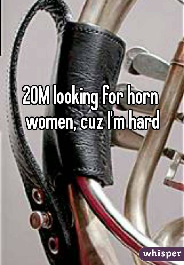 20M looking for horn women, cuz I'm hard