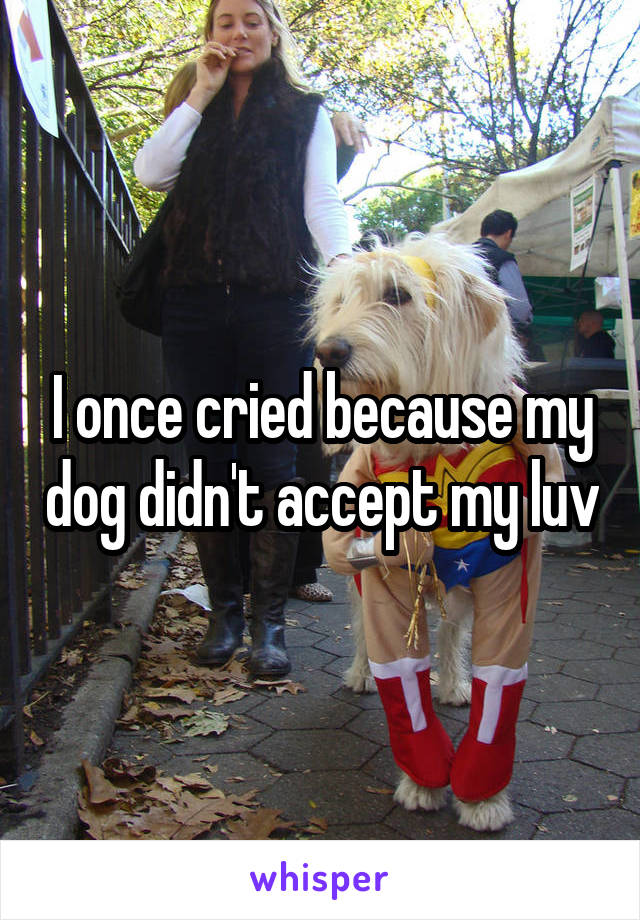 I once cried because my dog didn't accept my luv