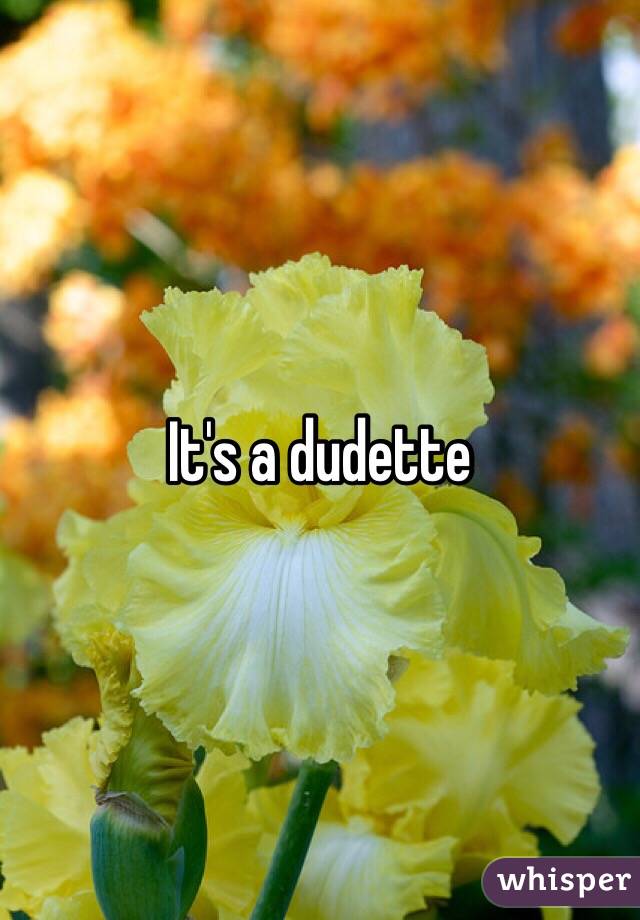 It's a dudette