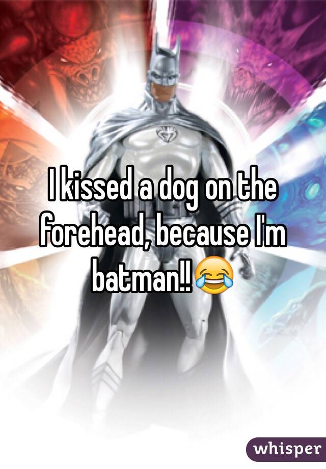 I kissed a dog on the forehead, because I'm batman!!😂