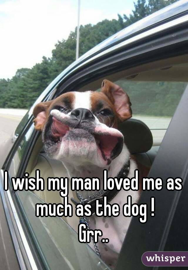 I wish my man loved me as much as the dog !
Grr..
