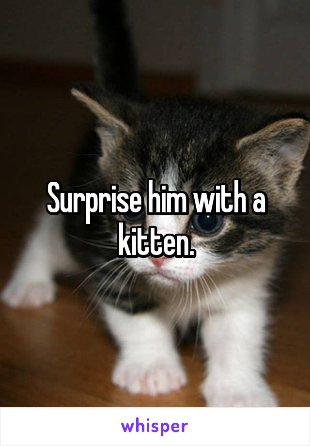 Surprise him with a kitten.