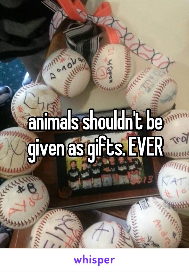 animals shouldn't be given as gifts. EVER
