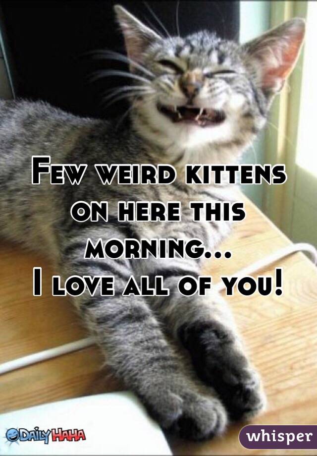 Few weird kittens on here this morning... 
I love all of you!