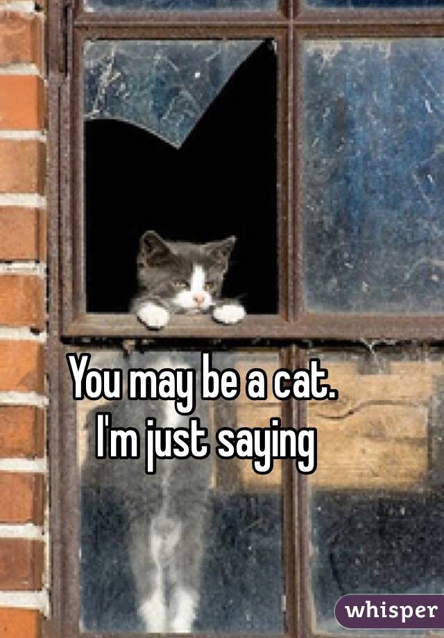 You may be a cat. 
 I'm just saying 