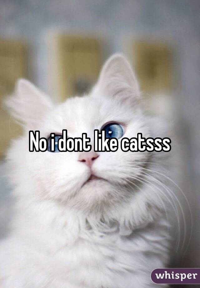 No i dont like catsss