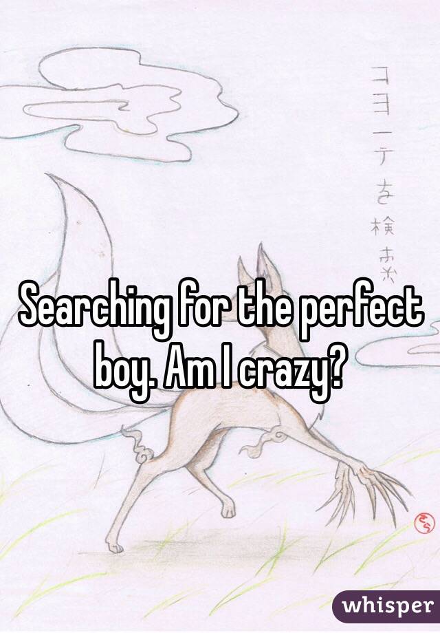 Searching for the perfect boy. Am I crazy? 