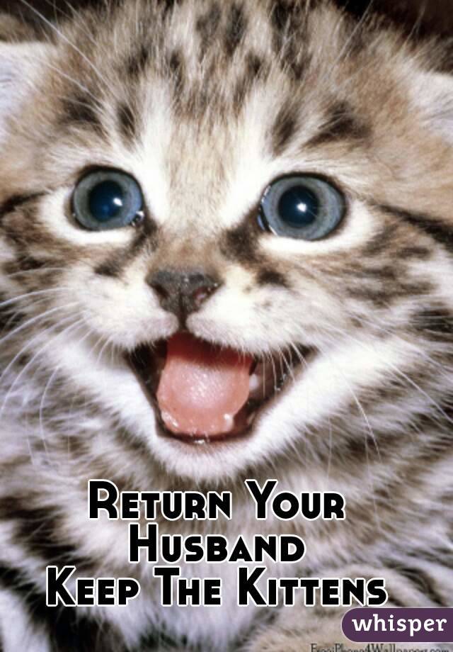 Return Your Husband 
Keep The Kittens