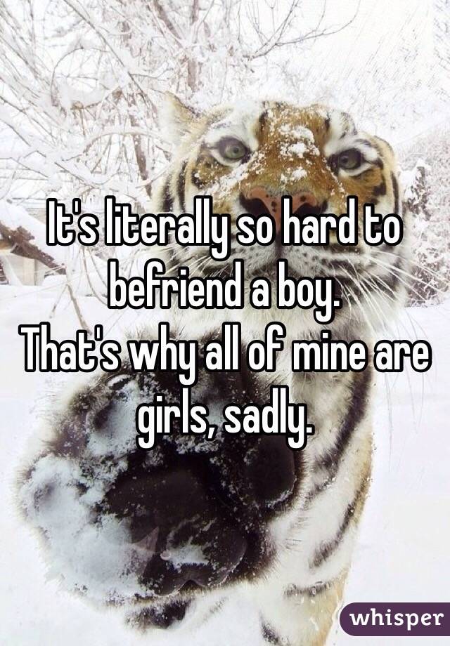 It's literally so hard to befriend a boy.
That's why all of mine are girls, sadly.