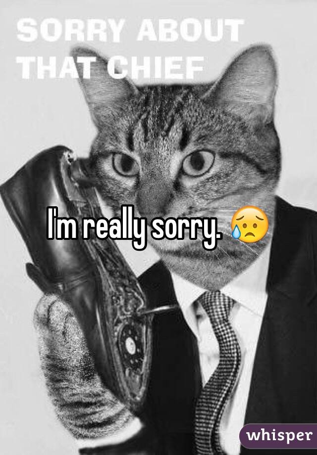 I'm really sorry. 😥