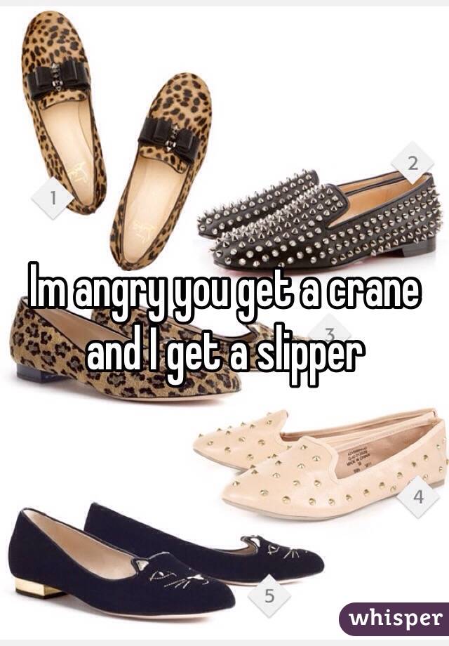 Im angry you get a crane and I get a slipper 