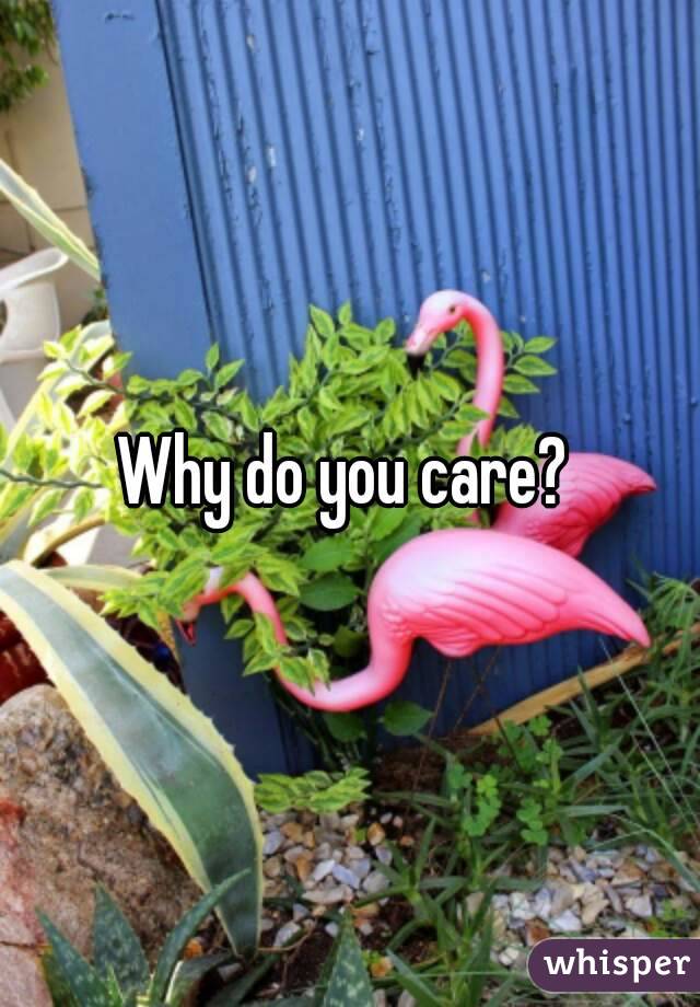 Why do you care? 