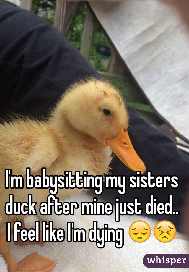 I'm babysitting my sisters duck after mine just died.. I feel like I'm dying 😔😣