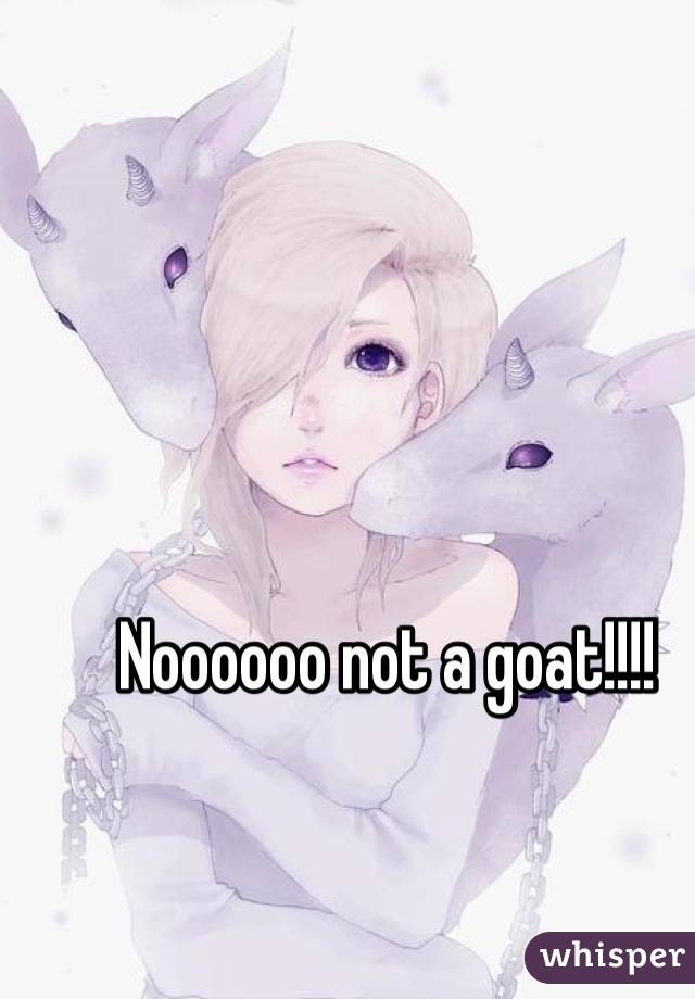 Noooooo not a goat!!!!