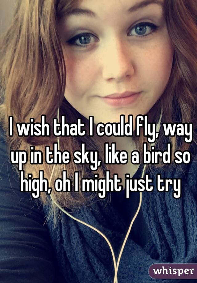 I wish that I could fly, way up in the sky, like a bird so high, oh I might just try