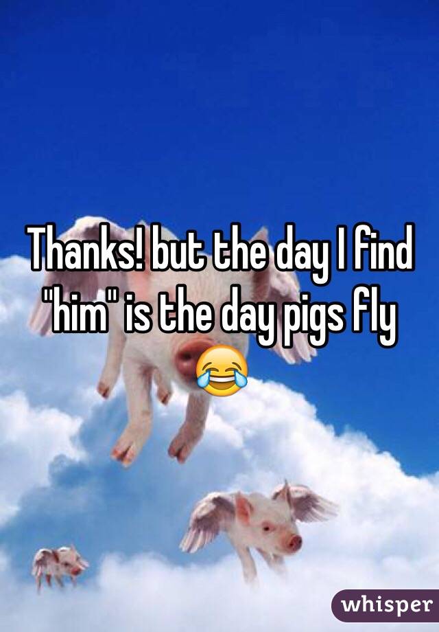Thanks! but the day I find "him" is the day pigs fly 😂