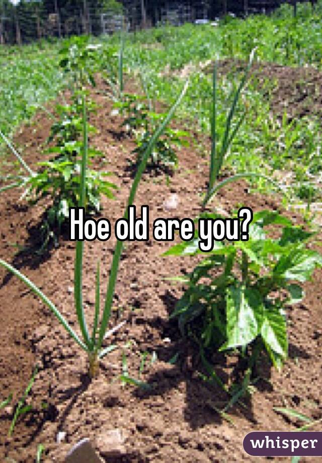 Hoe old are you? 