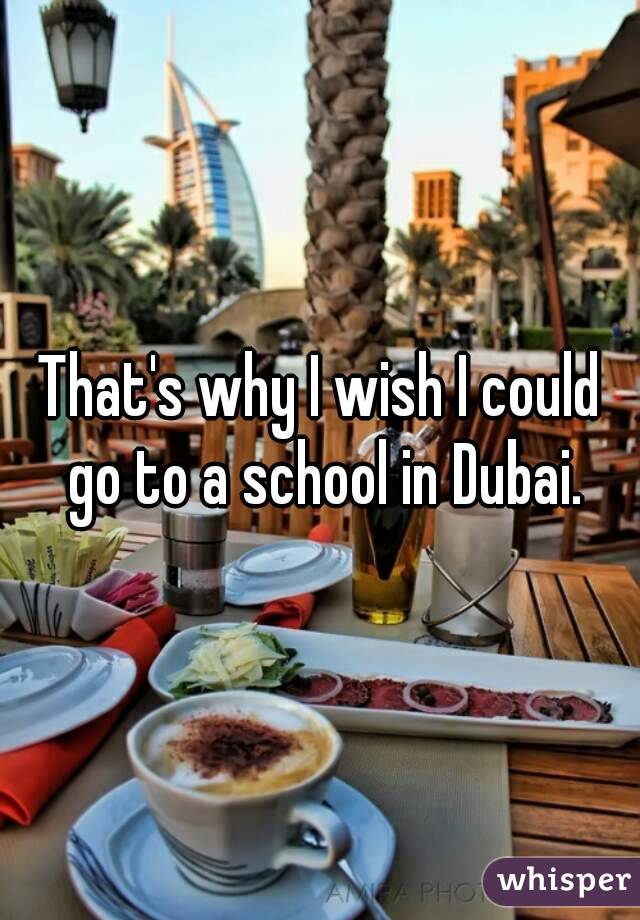 That's why I wish I could go to a school in Dubai.