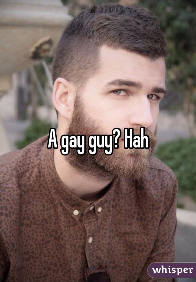 A gay guy? Hah