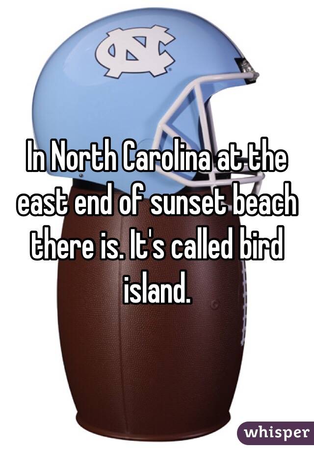 In North Carolina at the east end of sunset beach there is. It's called bird island. 
