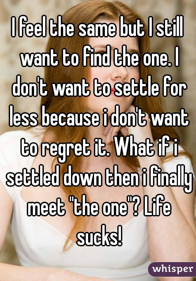 I feel the same but I still want to find the one. I don't want to settle for less because i don't want to regret it. What if i settled down then i finally meet "the one"? Life sucks!