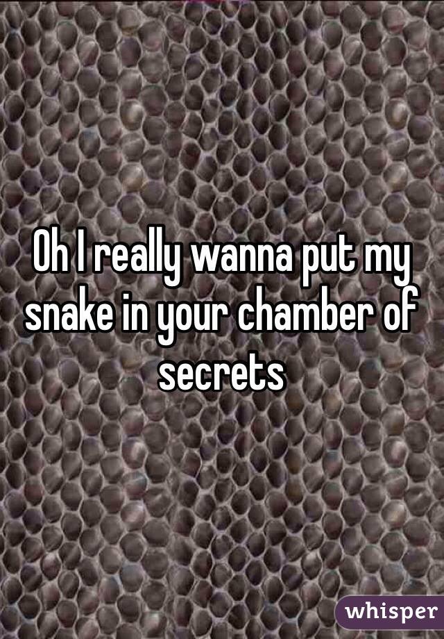 Oh I really wanna put my snake in your chamber of secrets 