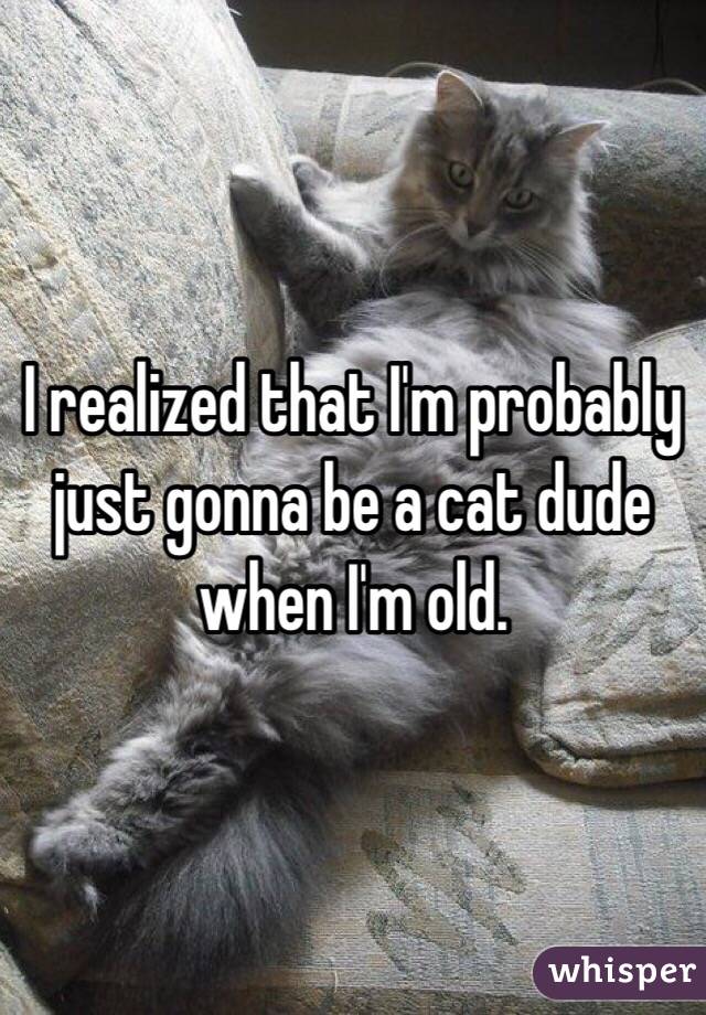 I realized that I'm probably just gonna be a cat dude when I'm old.  