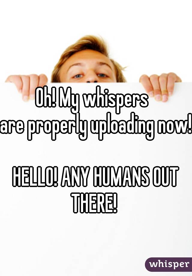 Oh! My whispers  
are properly uploading now!  
HELLO! ANY HUMANS OUT THERE!  