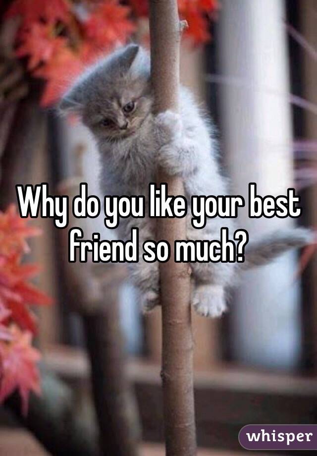 Why do you like your best friend so much?
