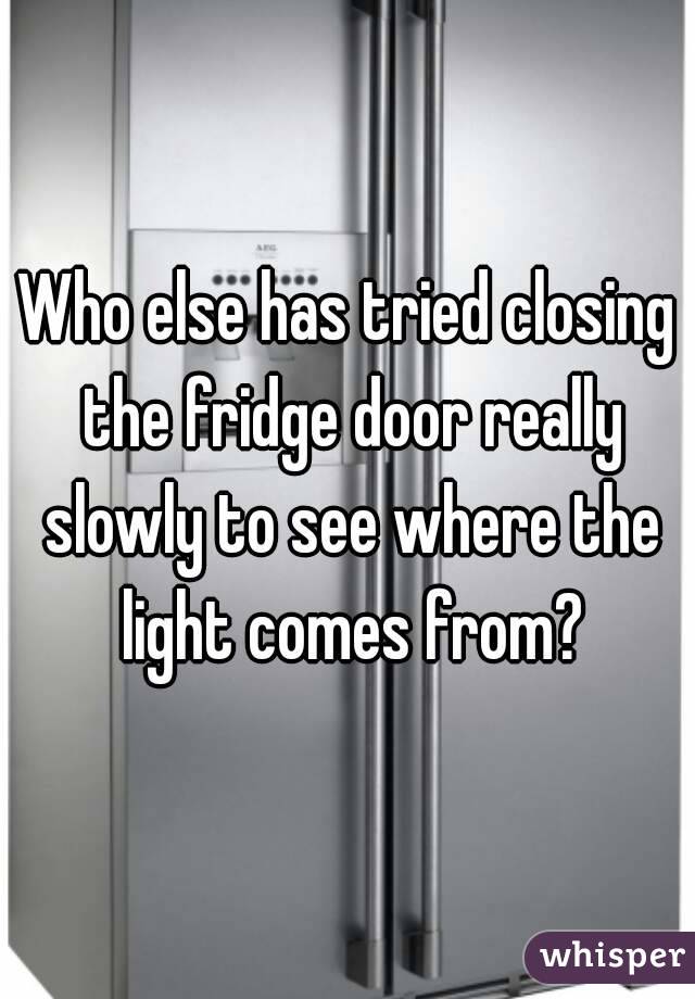 Who else has tried closing the fridge door really slowly to see where the light comes from?