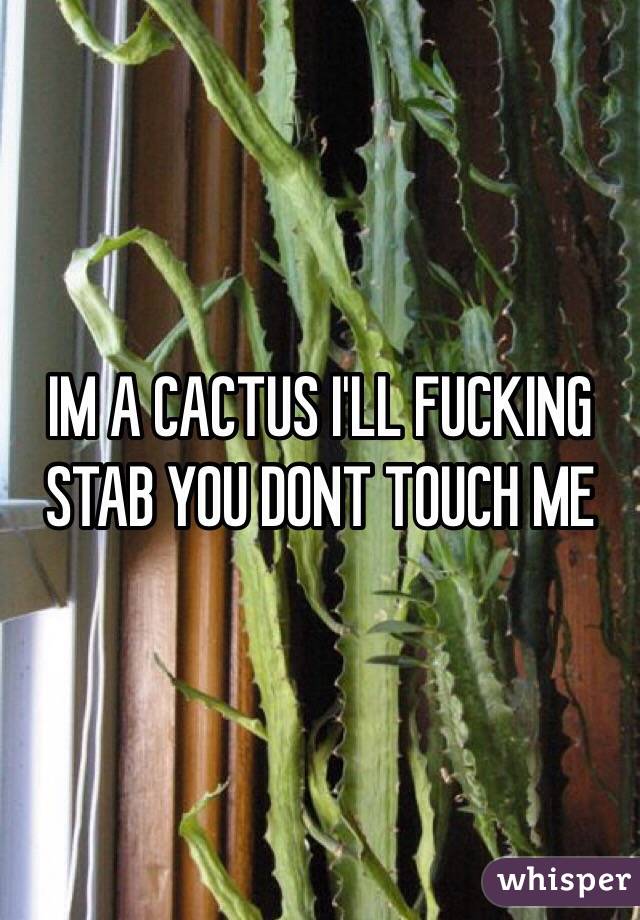 IM A CACTUS I'LL FUCKING STAB YOU DONT TOUCH ME 