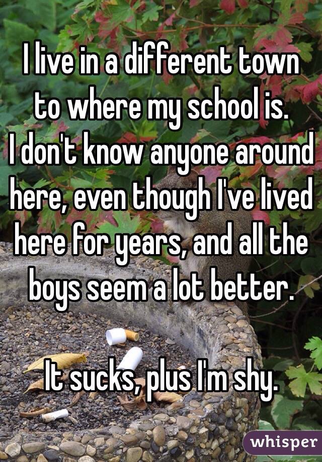 I live in a different town to where my school is.
I don't know anyone around here, even though I've lived here for years, and all the boys seem a lot better.

It sucks, plus I'm shy.
