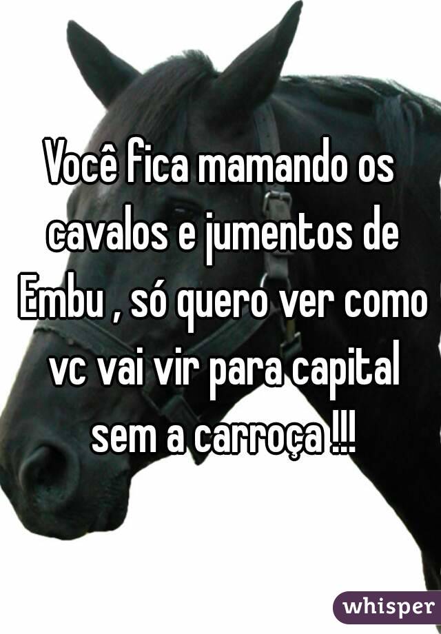 Você fica mamando os cavalos e jumentos de Embu , só quero ver como vc vai vir para capital sem a carroça !!!