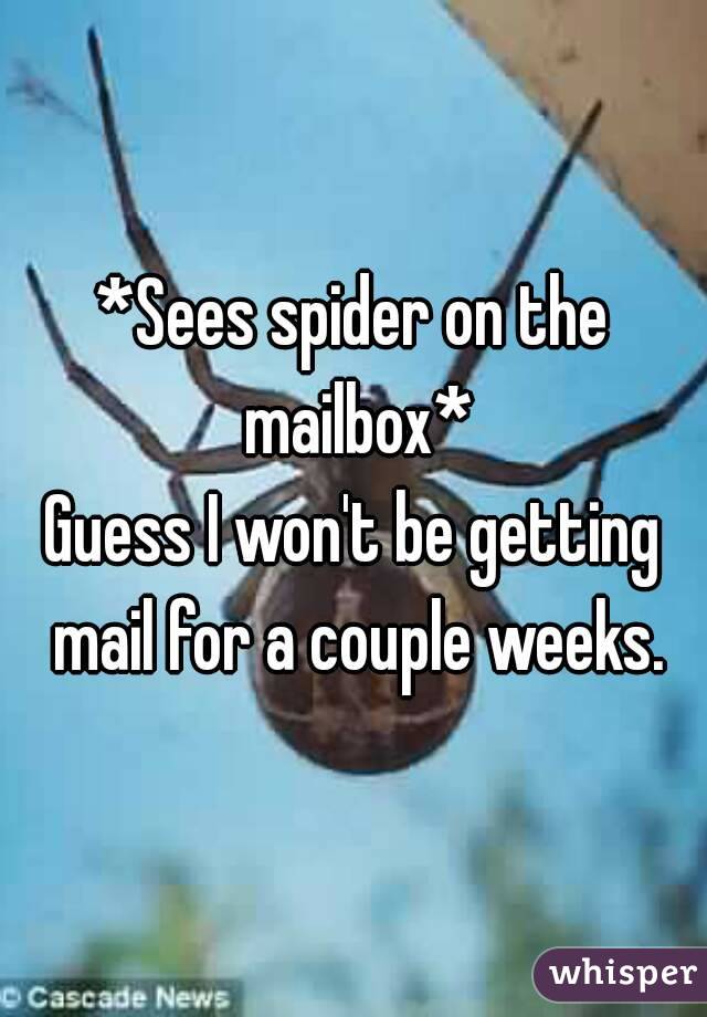 *Sees spider on the mailbox*
Guess I won't be getting mail for a couple weeks.