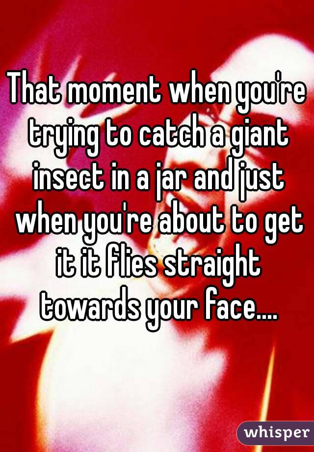 That moment when you're trying to catch a giant insect in a jar and just when you're about to get it it flies straight towards your face....