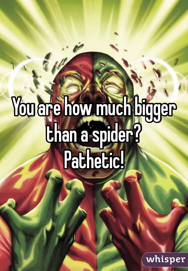 You are how much bigger than a spider?
Pathetic!