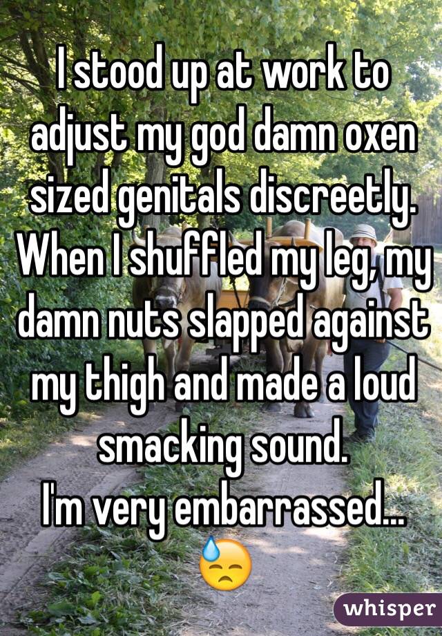 I stood up at work to adjust my god damn oxen sized genitals discreetly.
When I shuffled my leg, my damn nuts slapped against my thigh and made a loud smacking sound. 
I'm very embarrassed...
😓