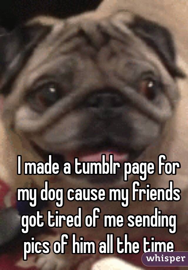 I made a tumblr page for my dog cause my friends got tired of me sending pics of him all the time