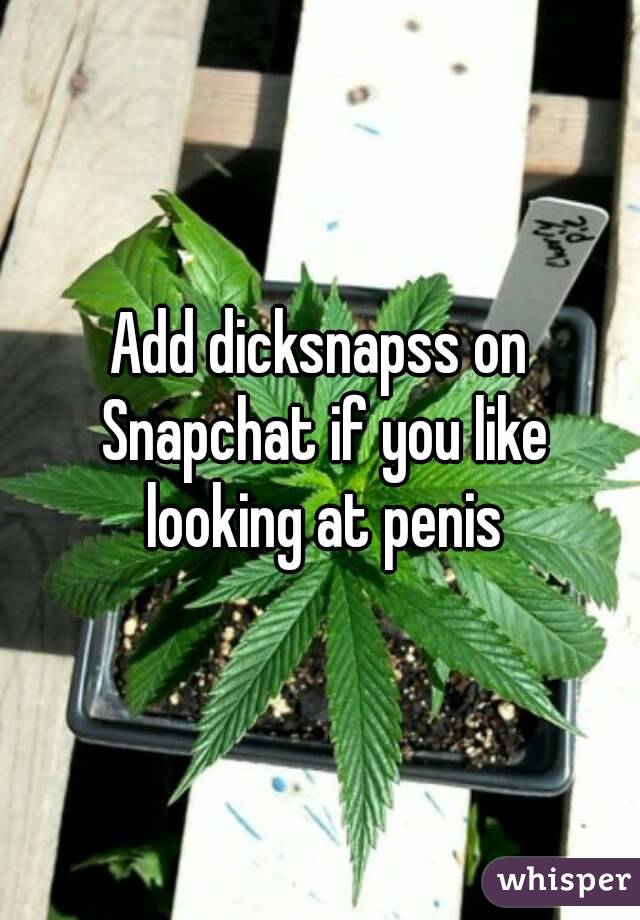 Add dicksnapss on Snapchat if you like looking at penis