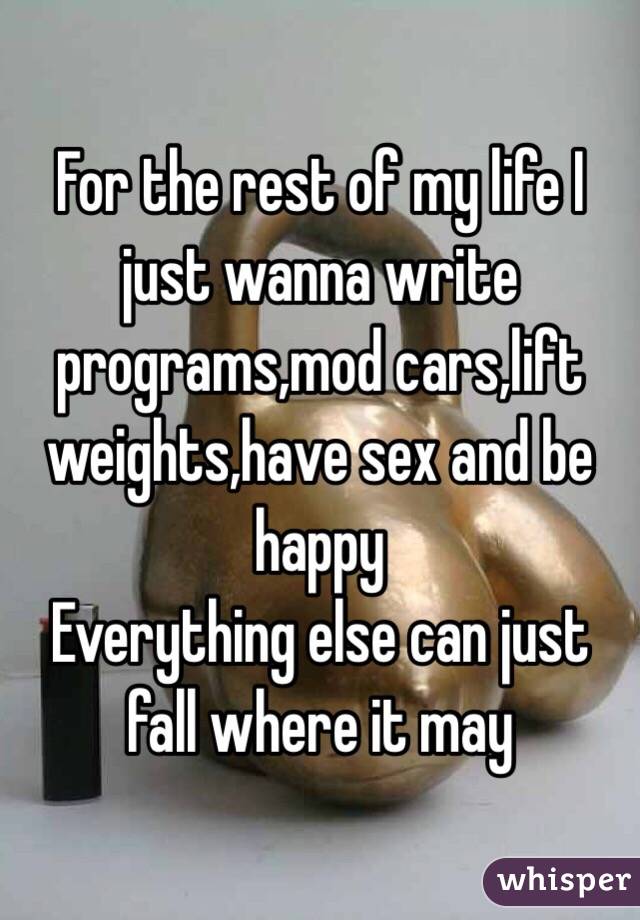 For the rest of my life I just wanna write programs,mod cars,lift weights,have sex and be happy 
Everything else can just fall where it may 