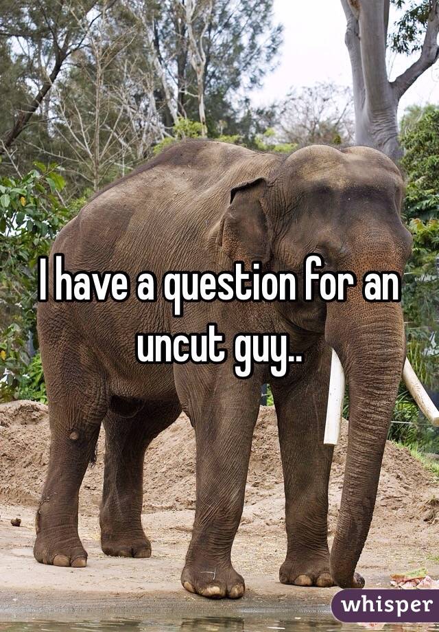 I have a question for an uncut guy..