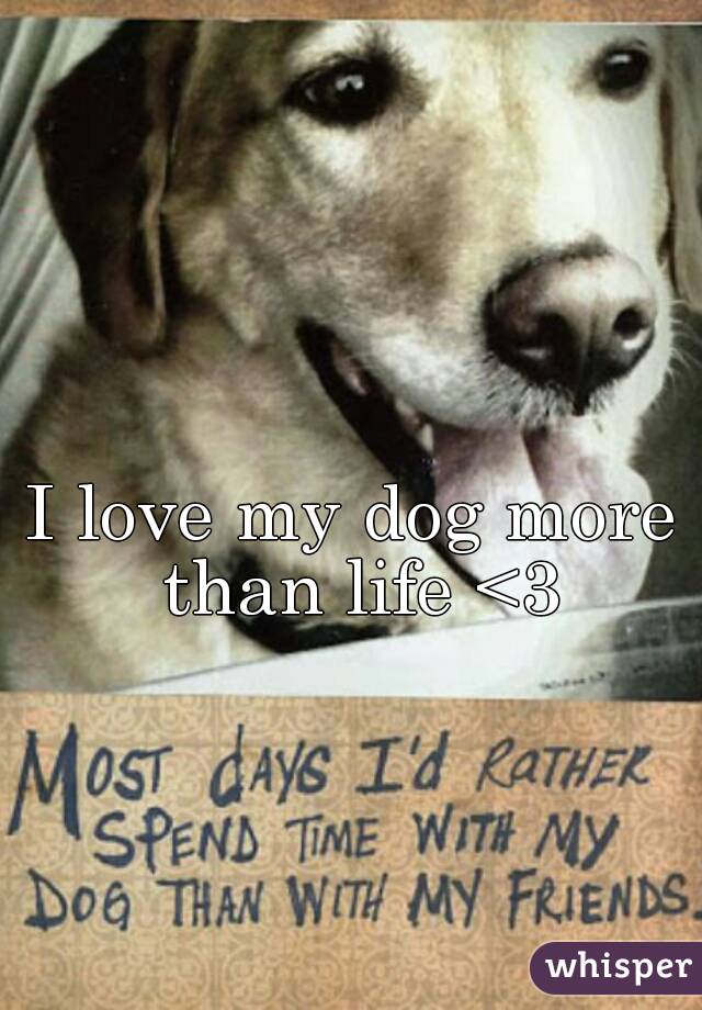 I love my dog more than life <3