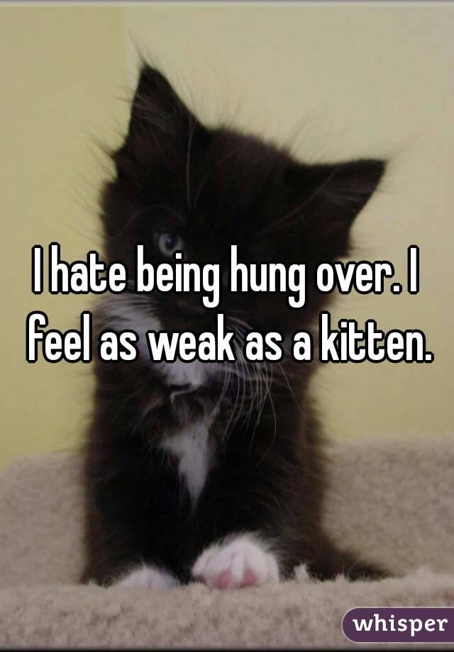 I hate being hung over. I feel as weak as a kitten.