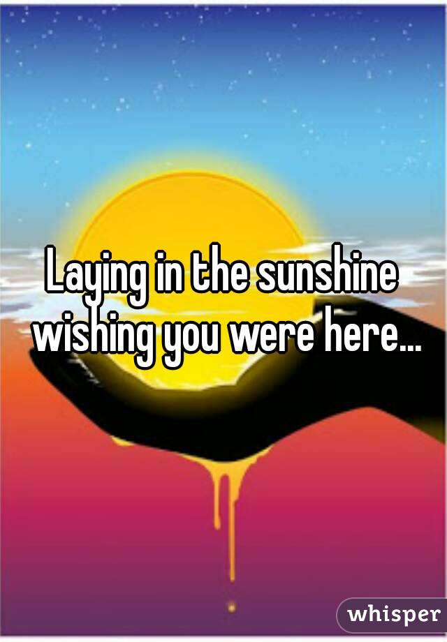 Laying in the sunshine wishing you were here...