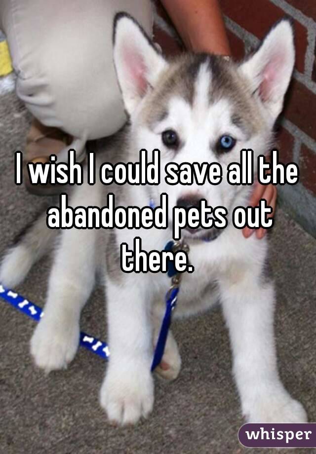 I wish I could save all the abandoned pets out there. 