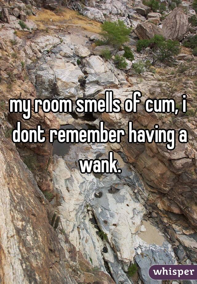 my room smells of cum, i dont remember having a wank.