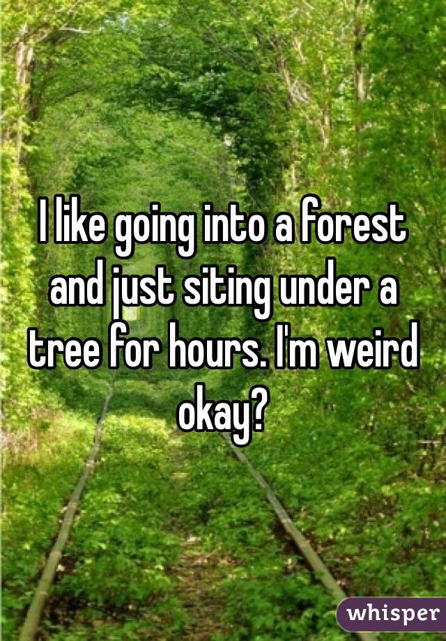 I like going into a forest and just siting under a tree for hours. I'm weird okay?
