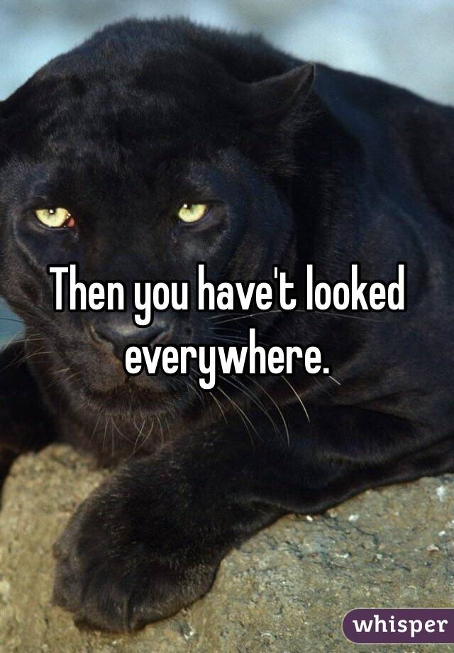 Then you have't looked everywhere.