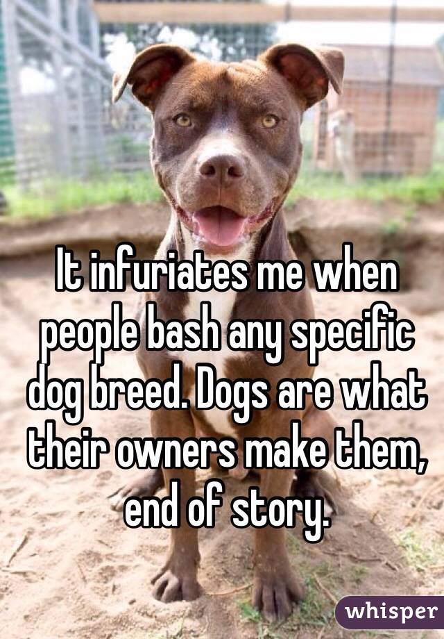 It infuriates me when people bash any specific dog breed. Dogs are what their owners make them, end of story. 