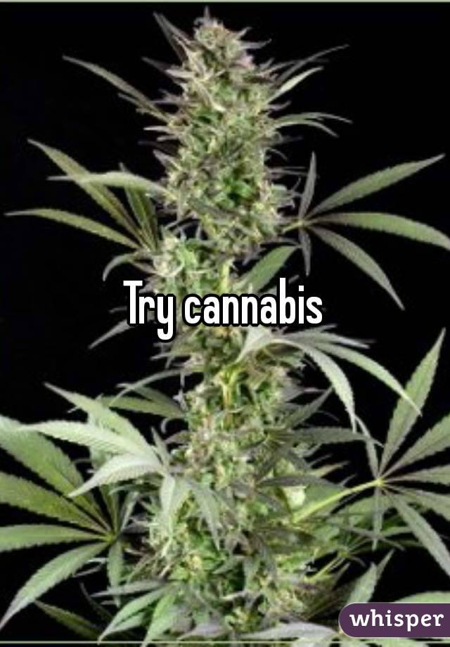 Try cannabis